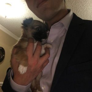 Meet your Posher, Alfredo